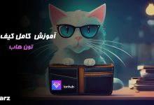 آموزش ولت تون هاب