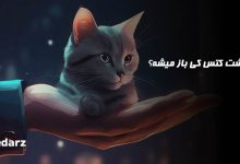 برداشت کتس