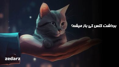 برداشت کتس