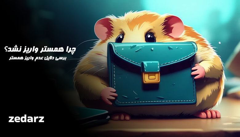 چرا همستر واریز نشد؟