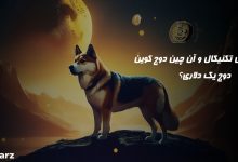 تحلیل دوج کوین