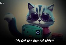 آموزش کیف پول مای تون ولت