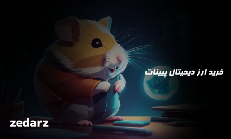 خرید ارز پینات