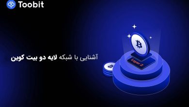 شبکه لایه دو چیست