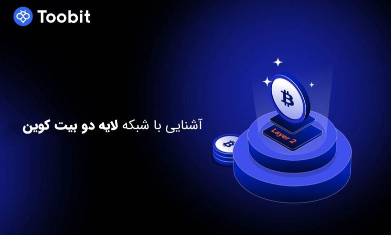 شبکه لایه دو چیست