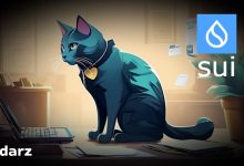 خرید ارز سویی sui