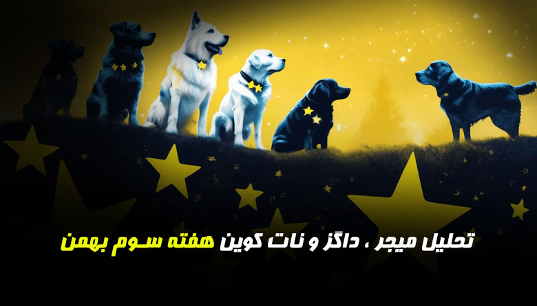 تحلیل میجر داگز و نات کوین