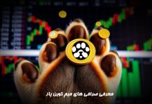 معرفی صرافی های پاز paws