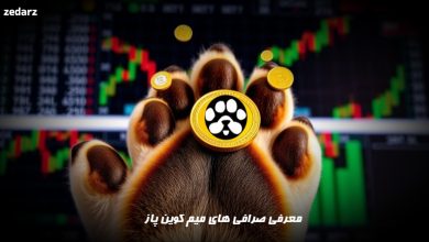 معرفی صرافی های پاز paws