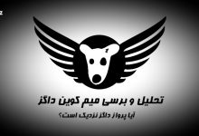 تحلیل و برسی داگز