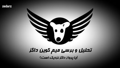 تحلیل و برسی داگز