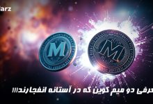 معرفی دو میم کوین انفجاری
