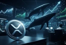 تصویر شاخص خرید گسترده XRP توسط نهنگ‌ها و جهش قیمت ریپل