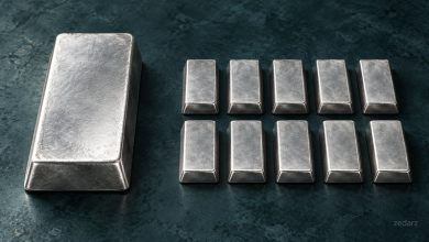 مقایسه مفهومی یک شمش بزرگ نقره با چند شمش کوچک